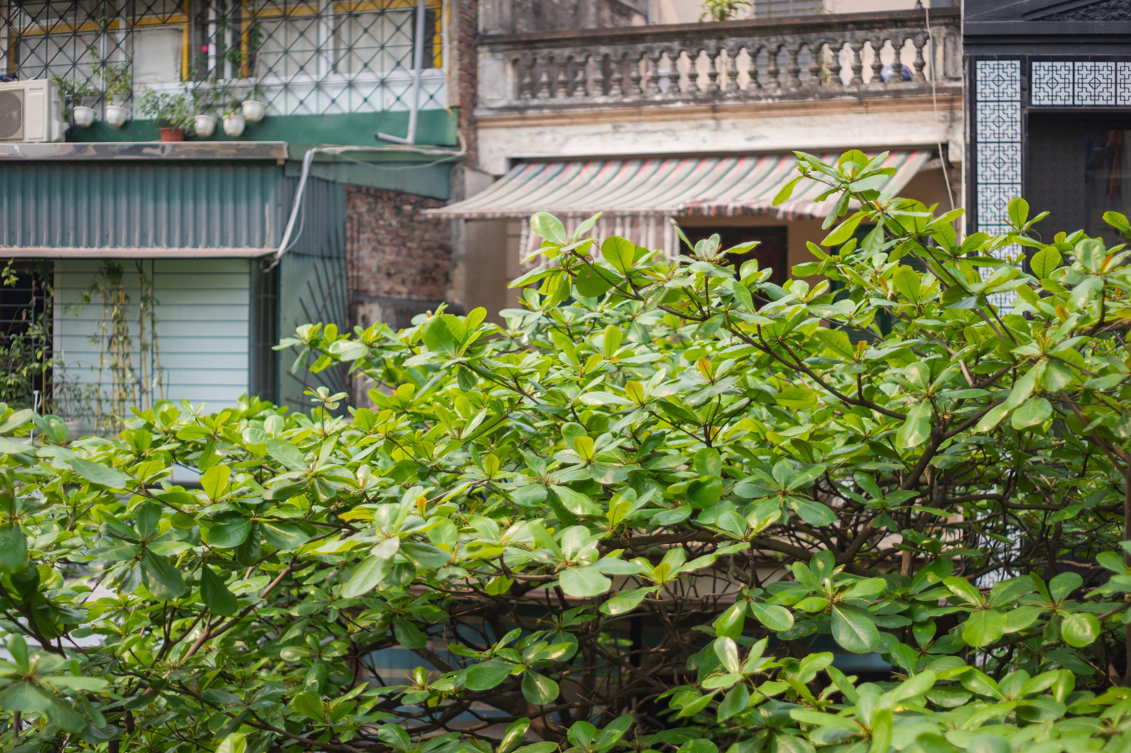 Backy Poshtel Hostel - Hanoi — Photos 2